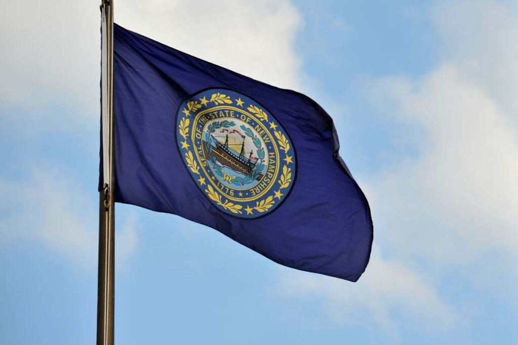 New Hampshire Flag